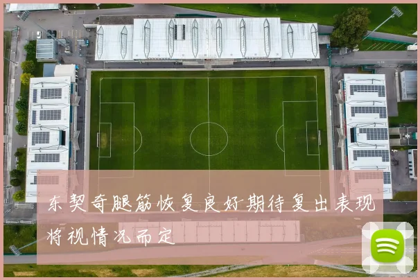 东契奇腿筋恢复良好期待复出表现将视情况而定